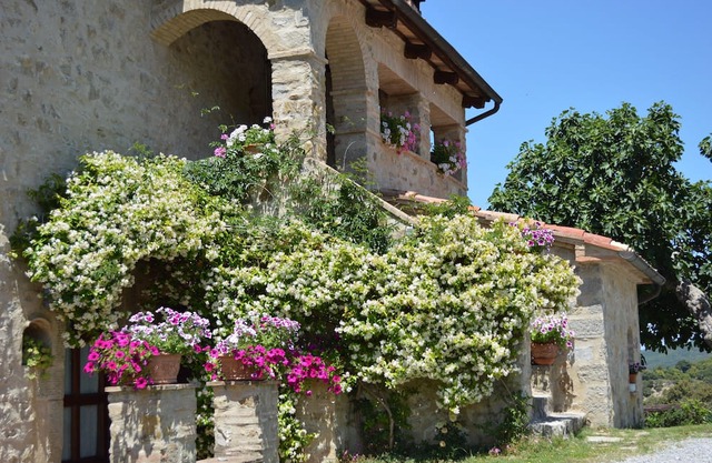 Agriturismo Bellavista between Amiata and Val D'Orcia - Mountain Apartment