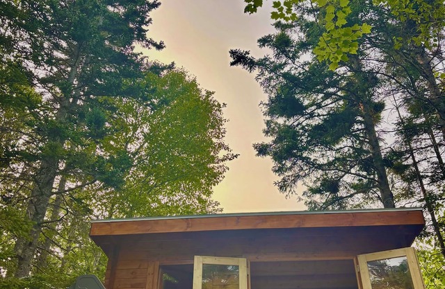 Big Leo’s River View Cabin