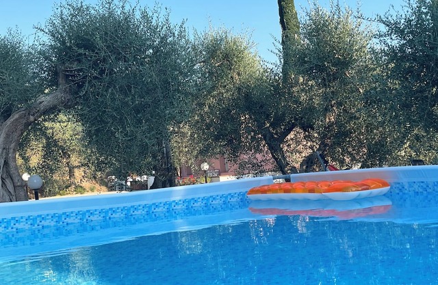 Shelter among olive trees, Tuscan countryside, a stone's throw from characteristic cities