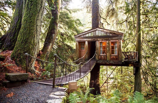 Cozy cabin