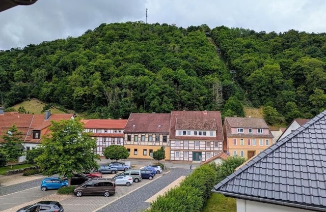 Harzflair am Hausberg - Harzflair am Hausberg - Holiday apartment