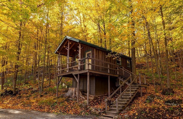Treehouse Cabin in Riverton, WV