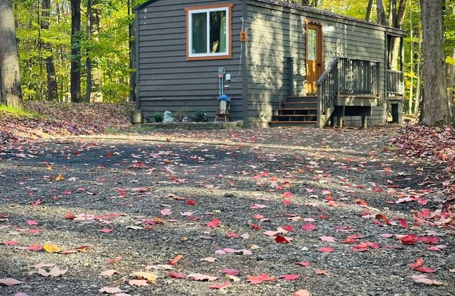 Unit 3 Lodge Cabin (no pets allowed)