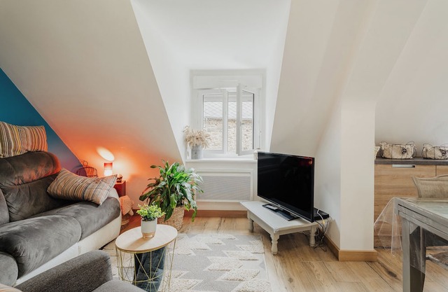 'Appartement Du Bonheur' in a Private Home with Shared Terrace and Wi-Fi