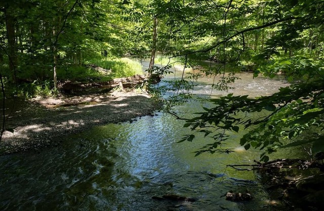 Modern House, Wild Gardens, Peaceful Creeks - E 1