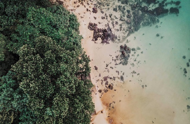 Kactus Your Island Sanctuary In Cambodia