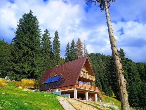 Cabana A-frame Padina