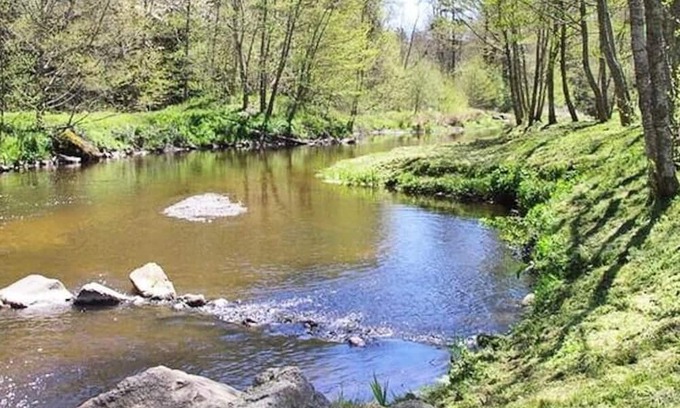 Saint-Paulien House | Camping Flower La Rochelambert **** - Mobile home Premium Côté Piscine 3 rooms 4 people