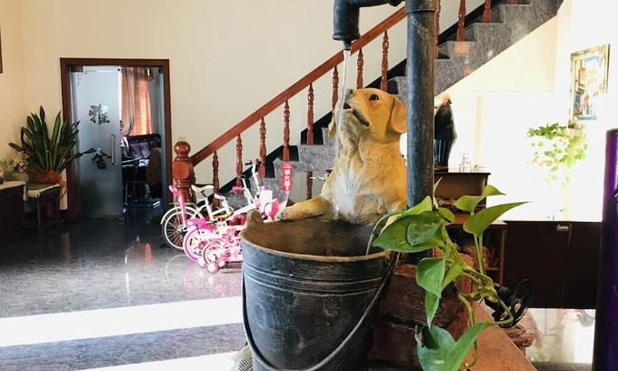 Jiji House | Chong Er Ya She Homestay