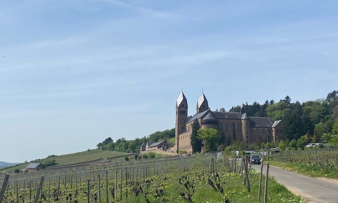 Geisenheim Apartment | Weinwandernwald im Rheingau