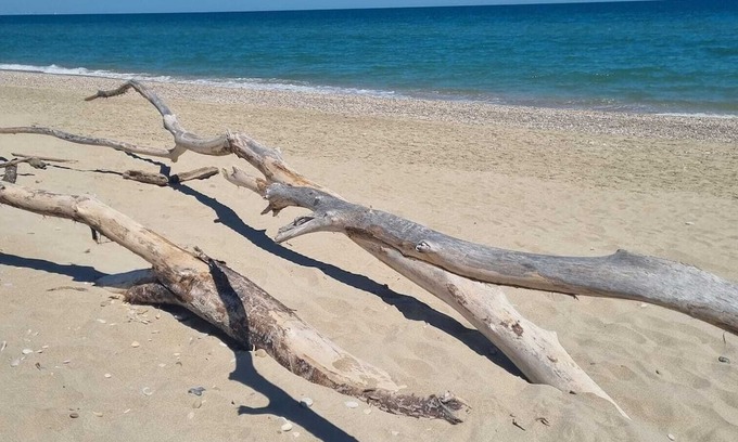 San Benedetto del Tronto Apartment | A little gem between NATURALISTIC OASIS & SEA with a large atrrealized terrace