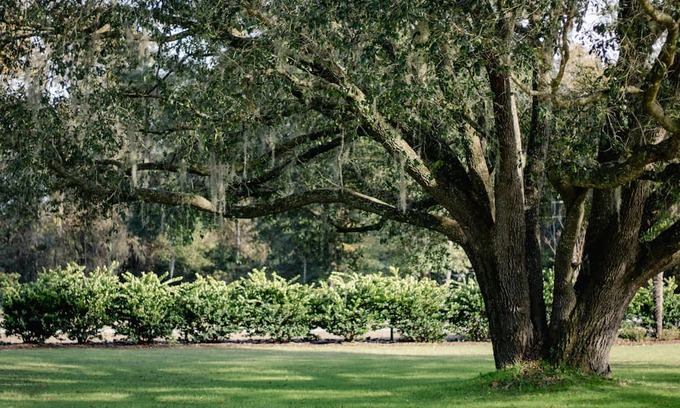 Fort White House | event venue