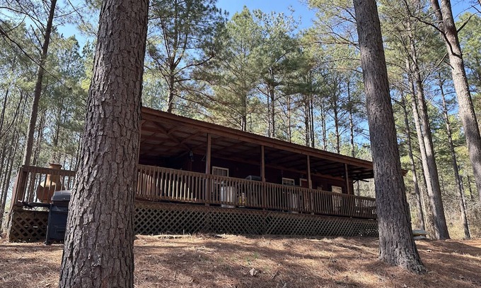 Dover Cabin | NEW LISTING! Private Cabin with Big Piney Creek frontage!