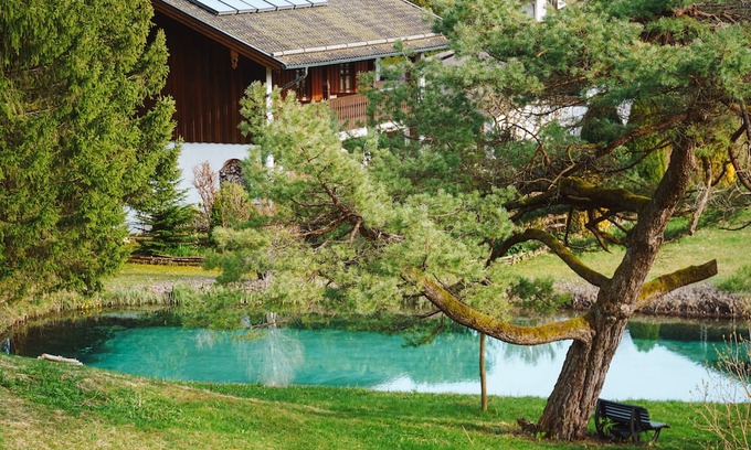 Bad Reichenhall Apartment | Gemütliche Ferienwohnung Mitten im Grünen mit Badeteich und Direktem Bergblick!
