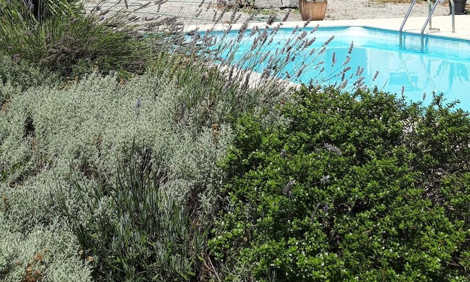 Pessines House | Charantaise Avec Piscine et Parc, 7 Minutes de Saintes, 25 Minutes de Royan