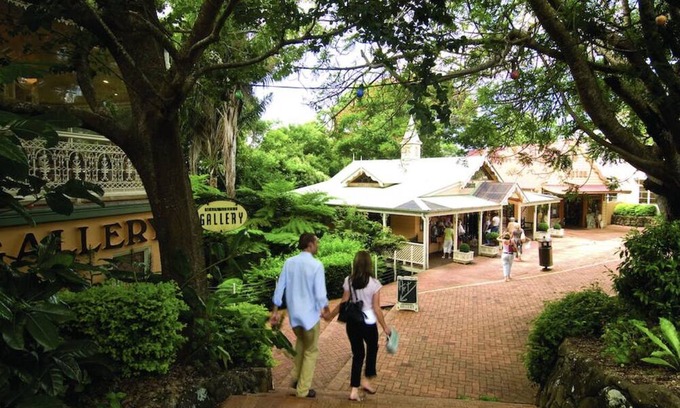 Montville House | Cosy guesthouse nestled on 5 acres of tropical lush landscape in Montville.