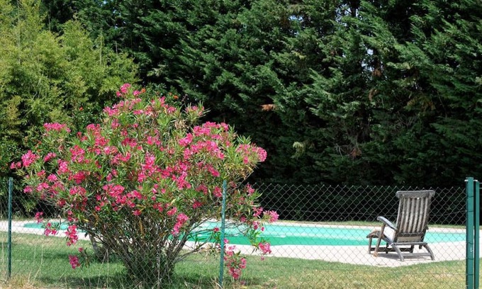 Thuir Other | Les oliviers - THUIR