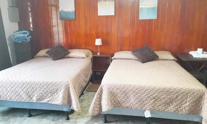 Zona 5 Apartment | 1 Comfy Dual: Convenience & Comfort Galore & 2 Nice and comfortable central apt