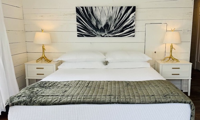 Albany House | The Western Belle