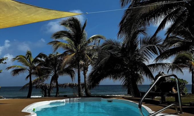 West End Apartment | Beachfront 1-bdr 1-bath "Sea Breeze Suite" 100 ft from the Ocean with a Pool!