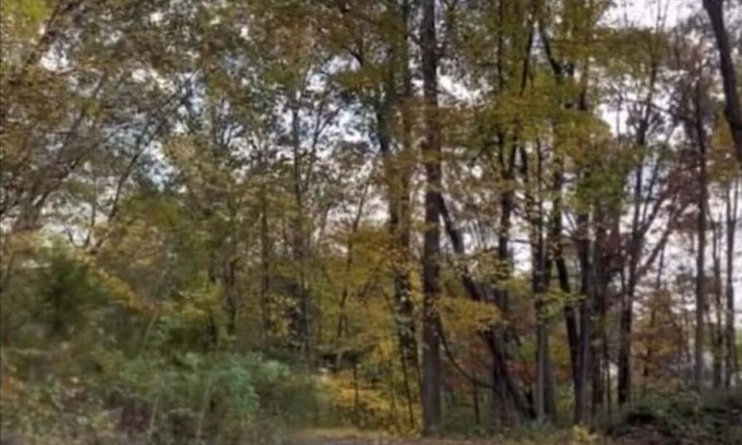 Red Hook Apartment | THE ARTIST’S LOFT- Peaceful 1-bedroom apartment in lovely Red Hook with AC, WiFi