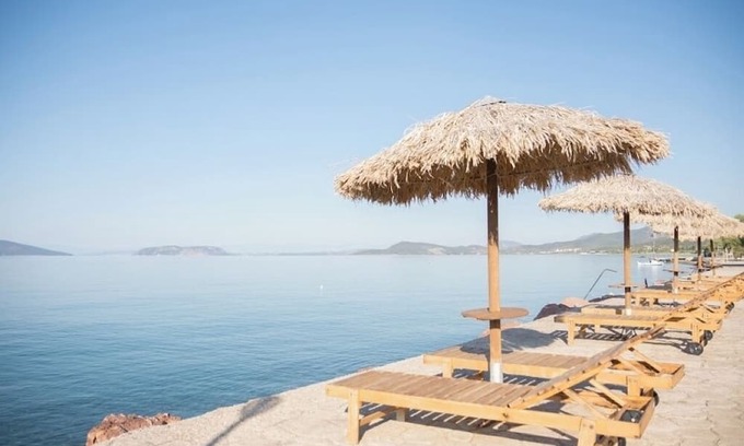 Plepi Apartment | One-Bedroom Apartment with Sea Views and Olive Grove Serenity for Up to 4 Guests