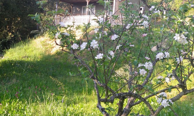 Vico Ski Chalet | Chalet rental in the shade of oak trees on private property 7 minutes from the sea