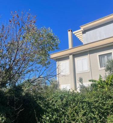 Tragjas Villa | Olives Garden Villa