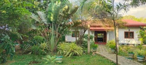 Kimbissa House | peacock house